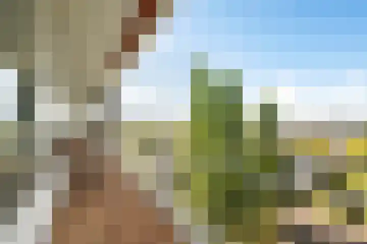 Schouwenselaan 87 Amstelveen thumbnail 5