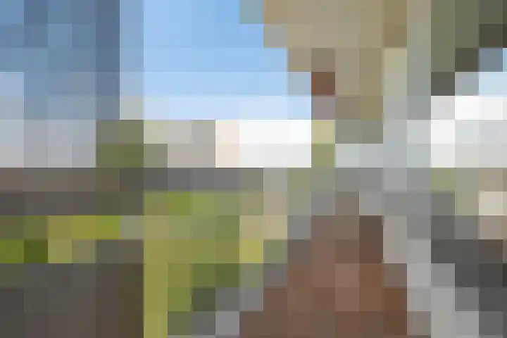 Schouwenselaan 87 Amstelveen thumbnail 7