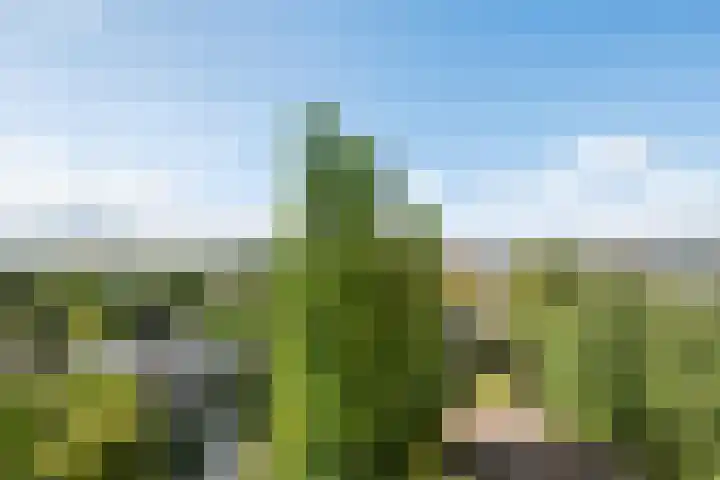Schouwenselaan 87 Amstelveen thumbnail 8