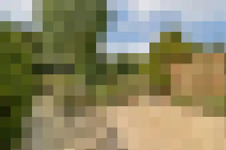 Schouwensezijweg 4 Amstelveen thumbnail 10