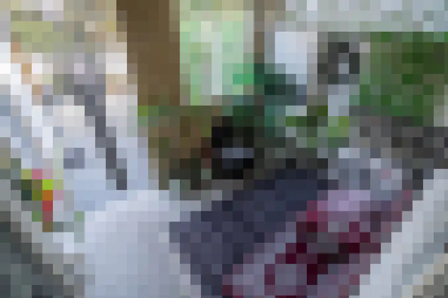 Schouwenwerf 11 Leiden thumbnail 10