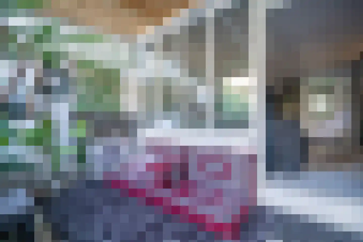 Schouwenwerf 11 Leiden thumbnail 11