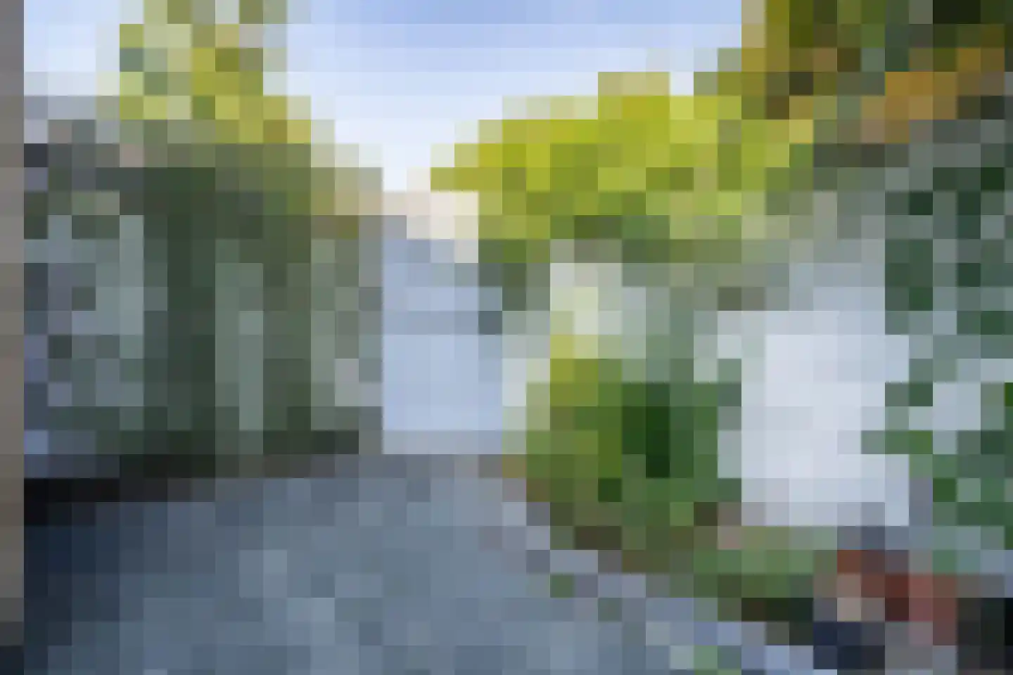 Schouwenwerf 11 Leiden thumbnail 13
