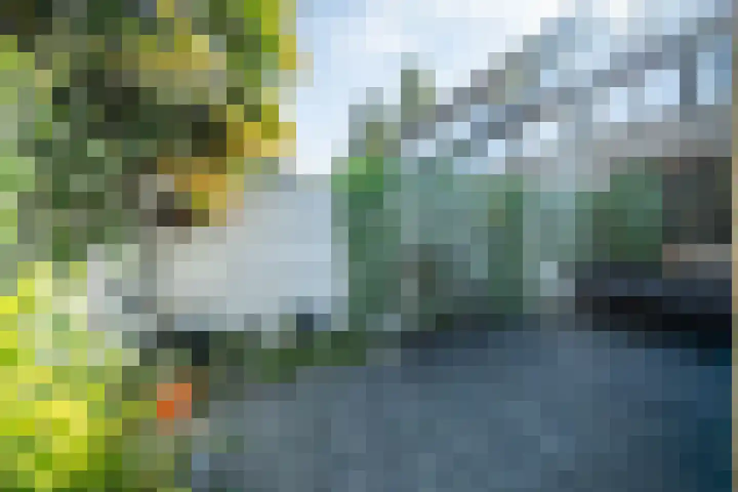 Schouwenwerf 11 Leiden thumbnail 14
