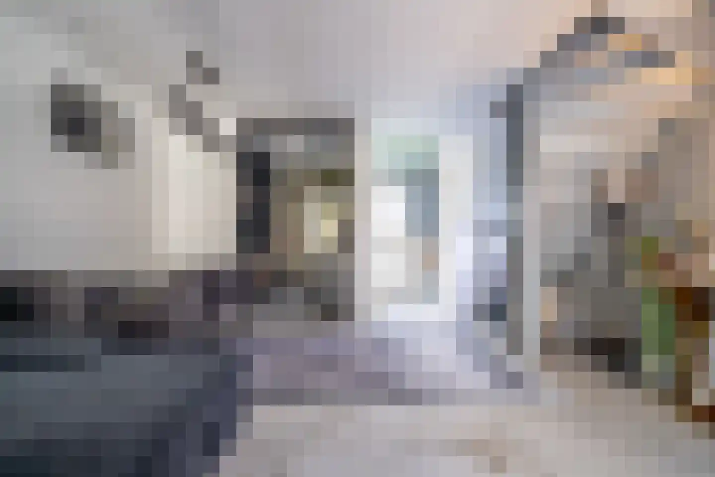 Schouwenwerf 11 Leiden thumbnail 17