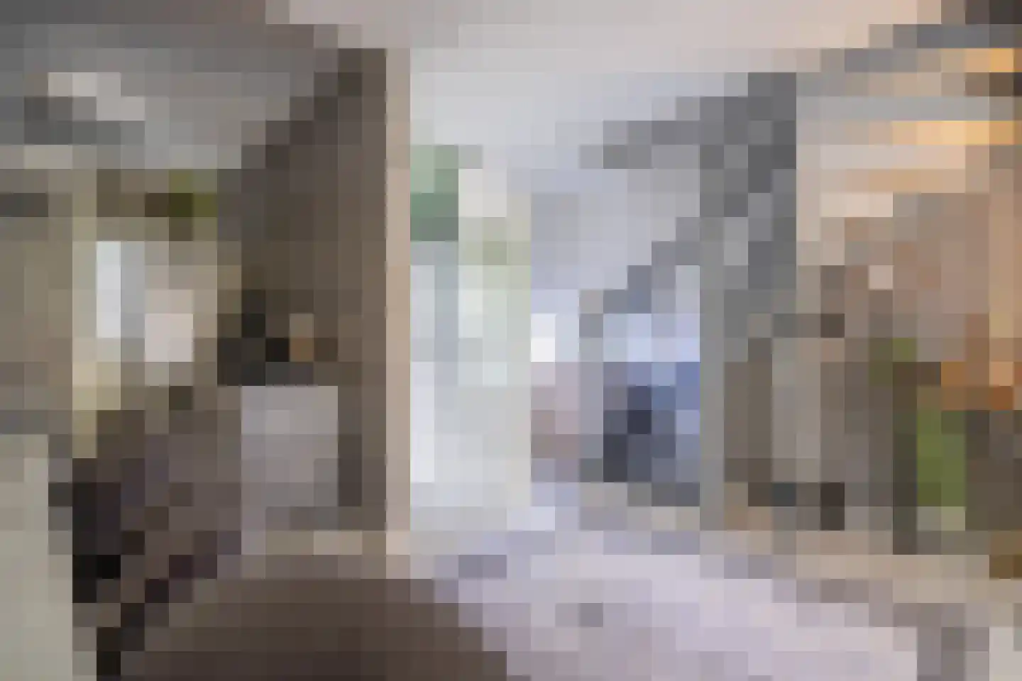 Schouwenwerf 11 Leiden thumbnail 18