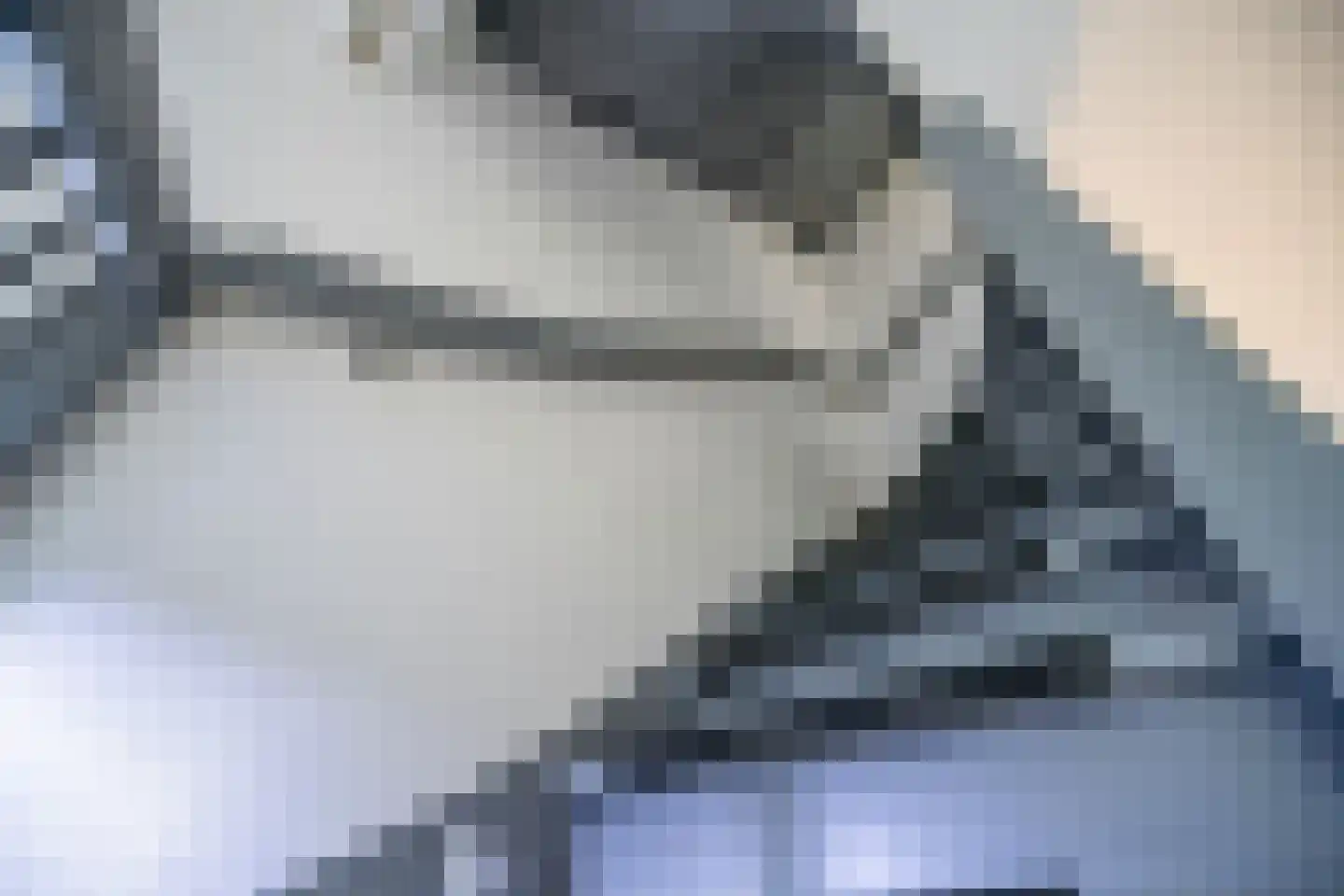 Schouwenwerf 11 Leiden thumbnail 21