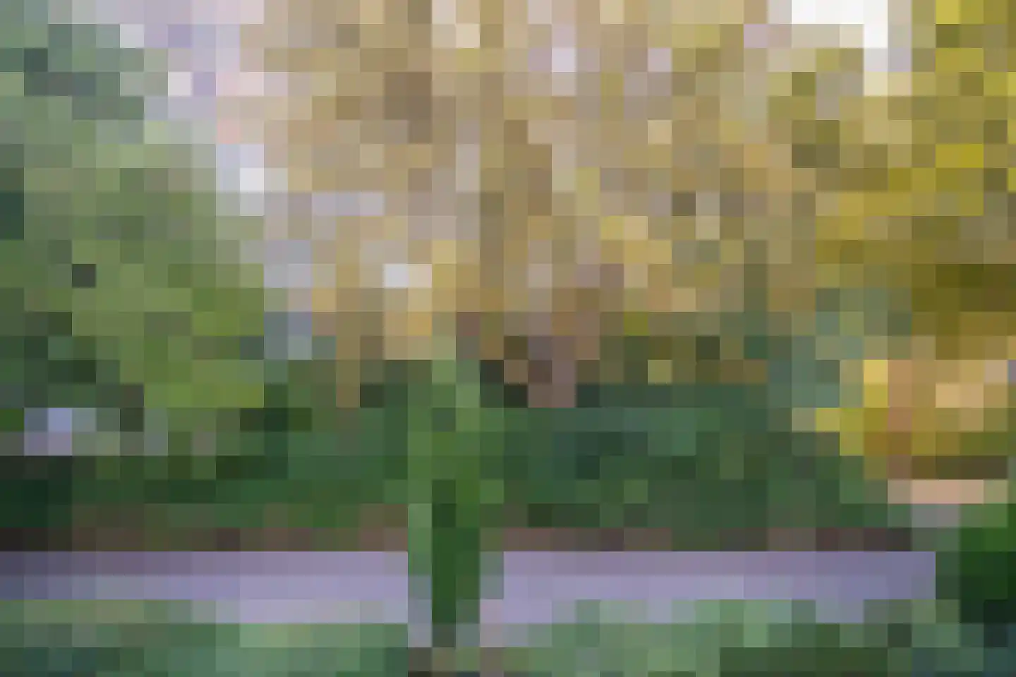 Schouwenwerf 11 Leiden thumbnail 24