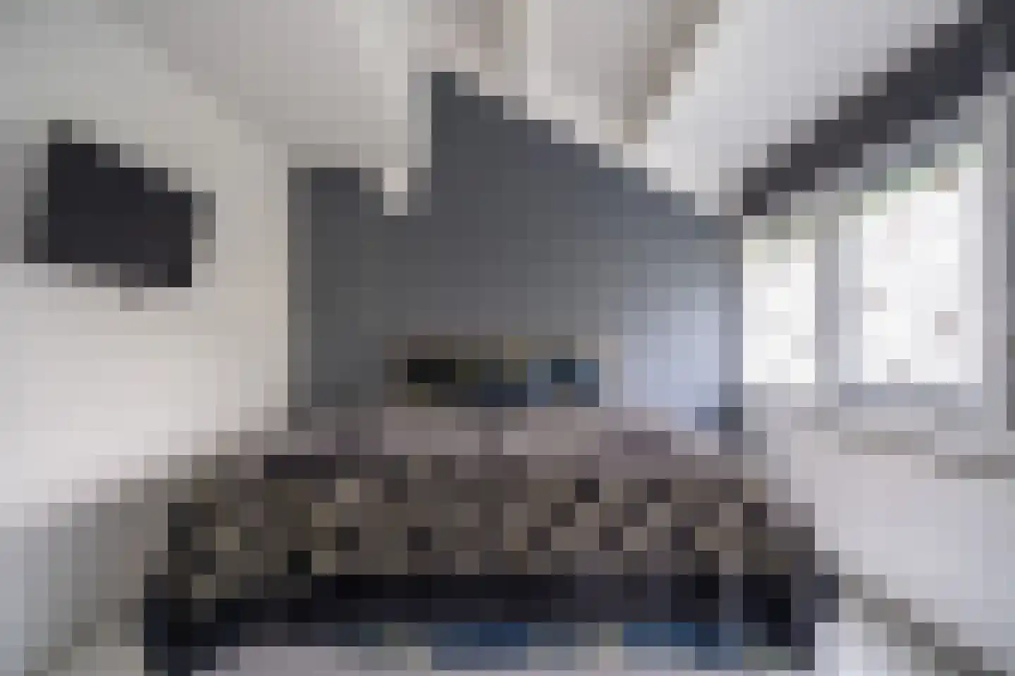Schouwenwerf 11 Leiden thumbnail 25