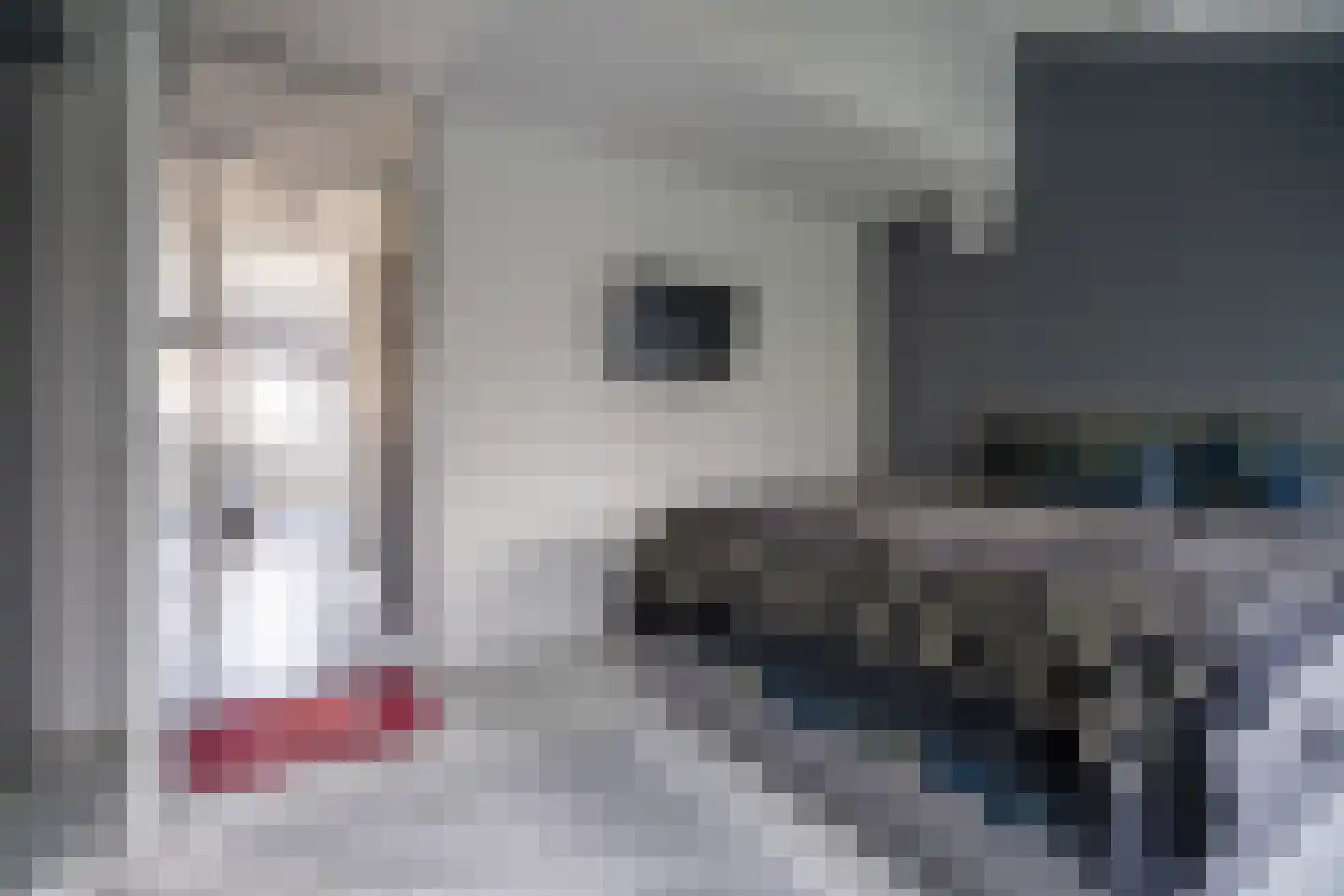 Schouwenwerf 11 Leiden thumbnail 26