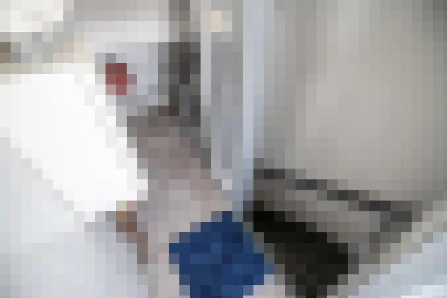 Schouwenwerf 11 Leiden thumbnail 36