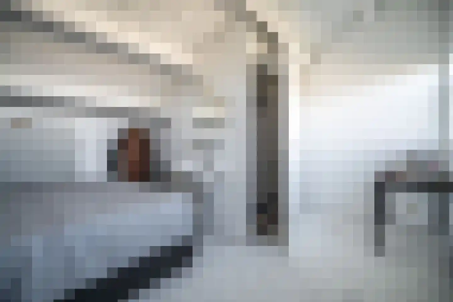 Schouwenwerf 11 Leiden thumbnail 38
