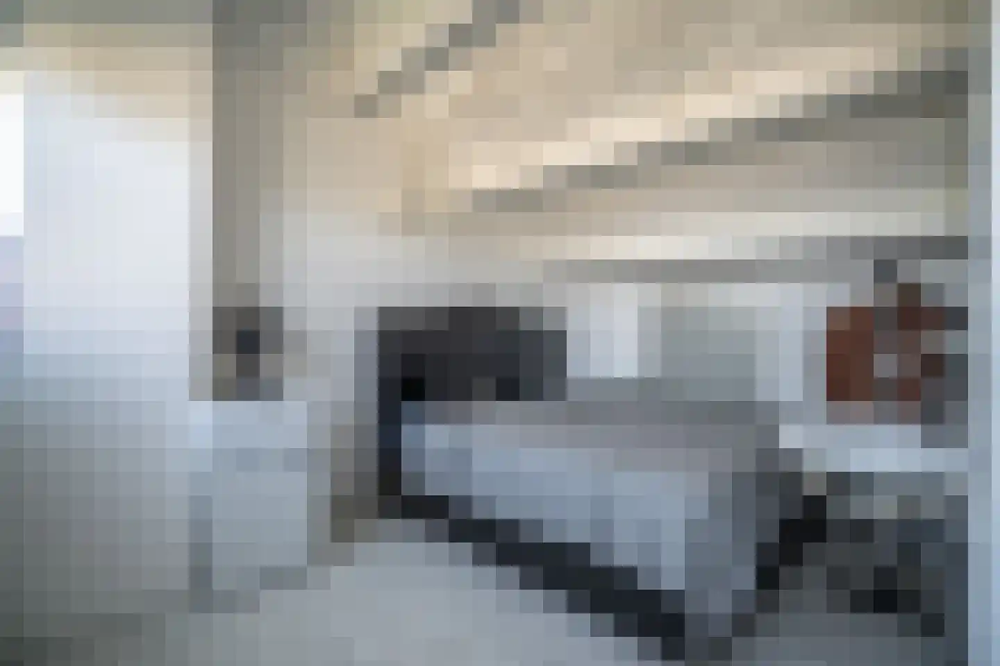 Schouwenwerf 11 Leiden thumbnail 39