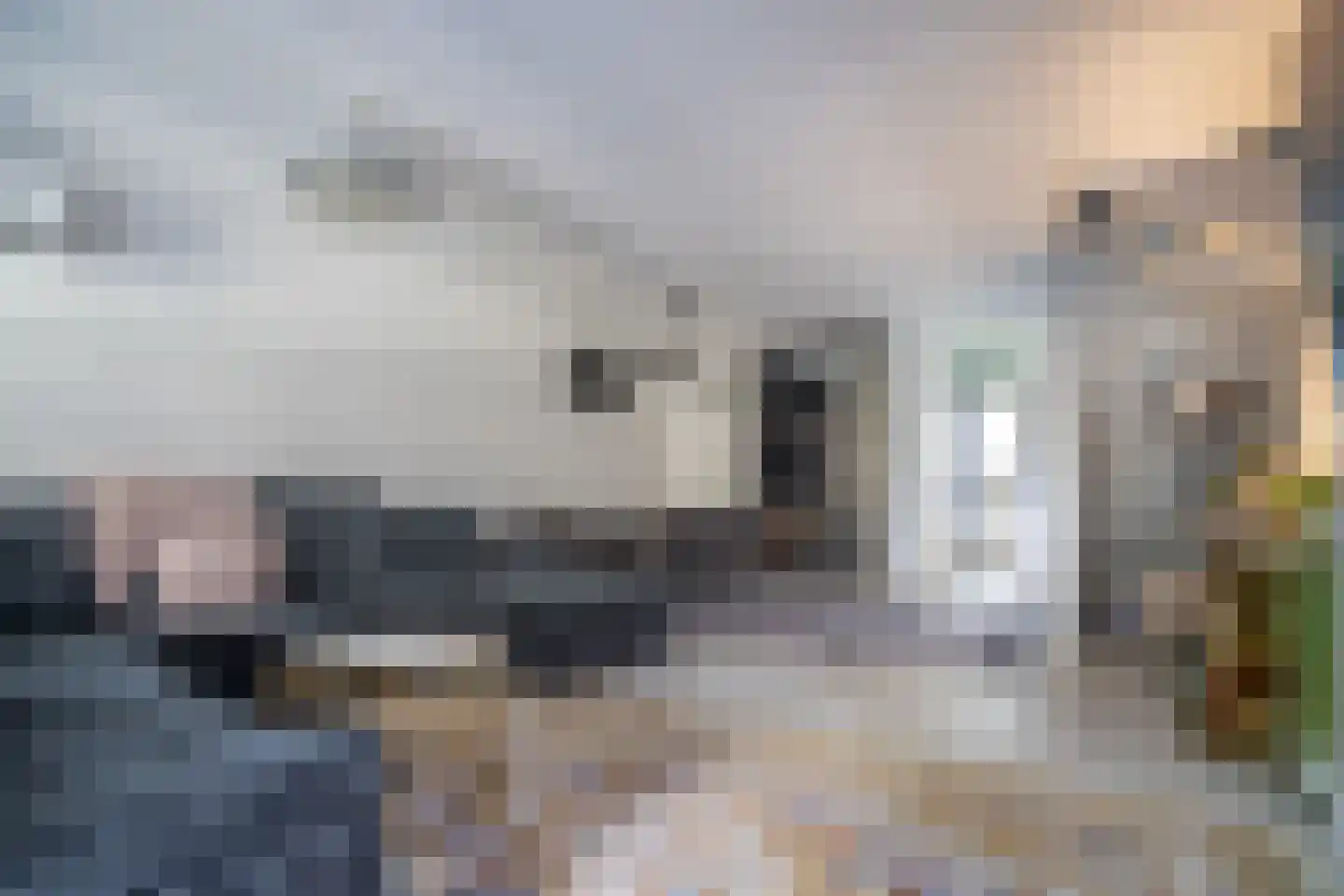 Schouwenwerf 11 Leiden thumbnail 6