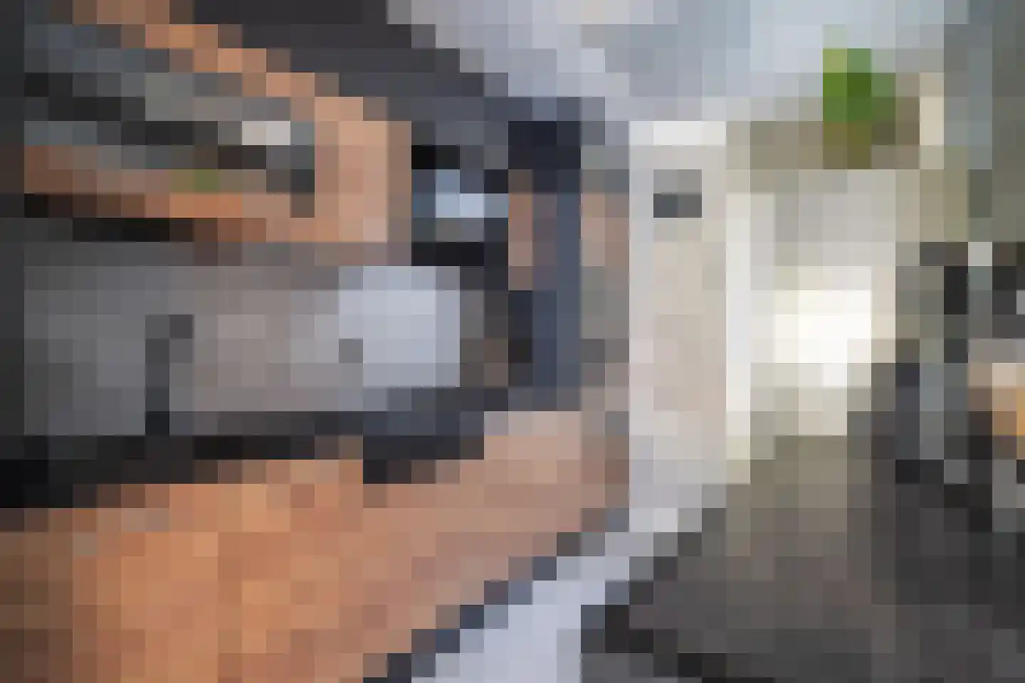 Schouwenwerf 11 Leiden thumbnail 7