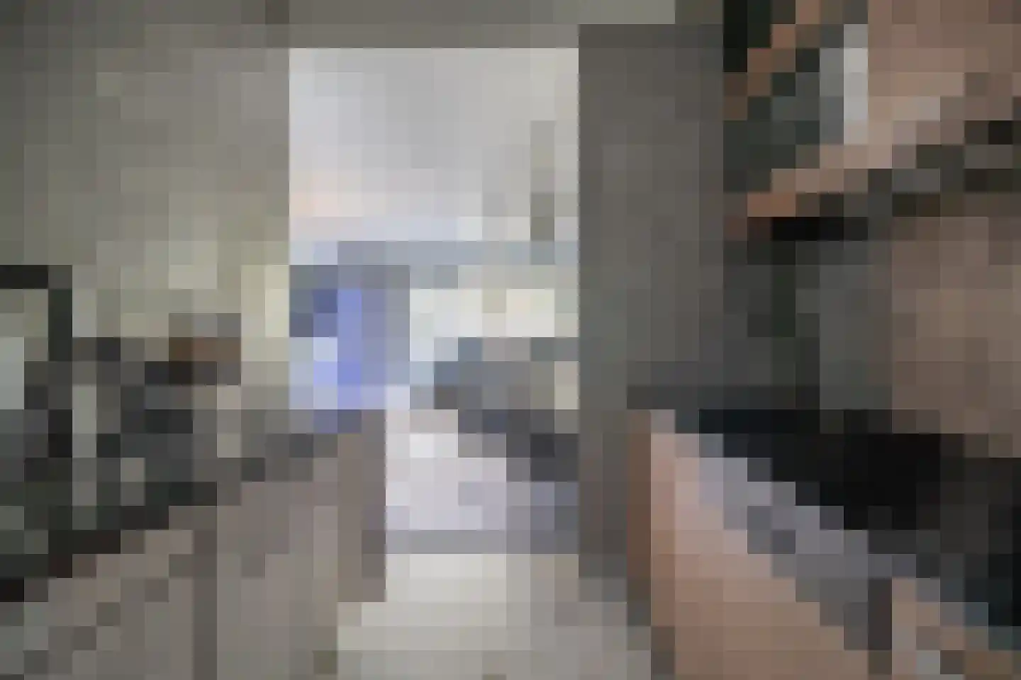 Schouwenwerf 11 Leiden thumbnail 8