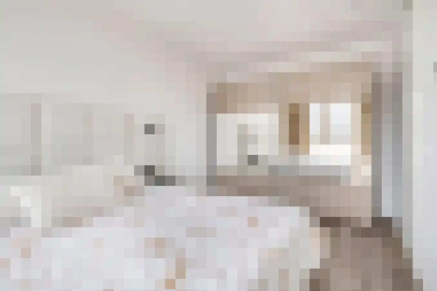 Schouwheer 3 Veenendaal thumbnail 17