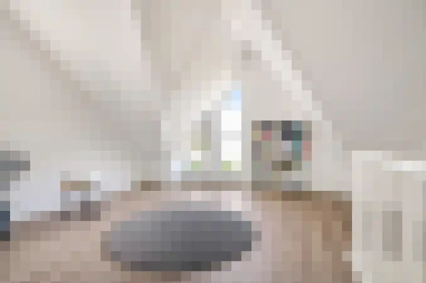 Schouwheer 3 Veenendaal thumbnail 26