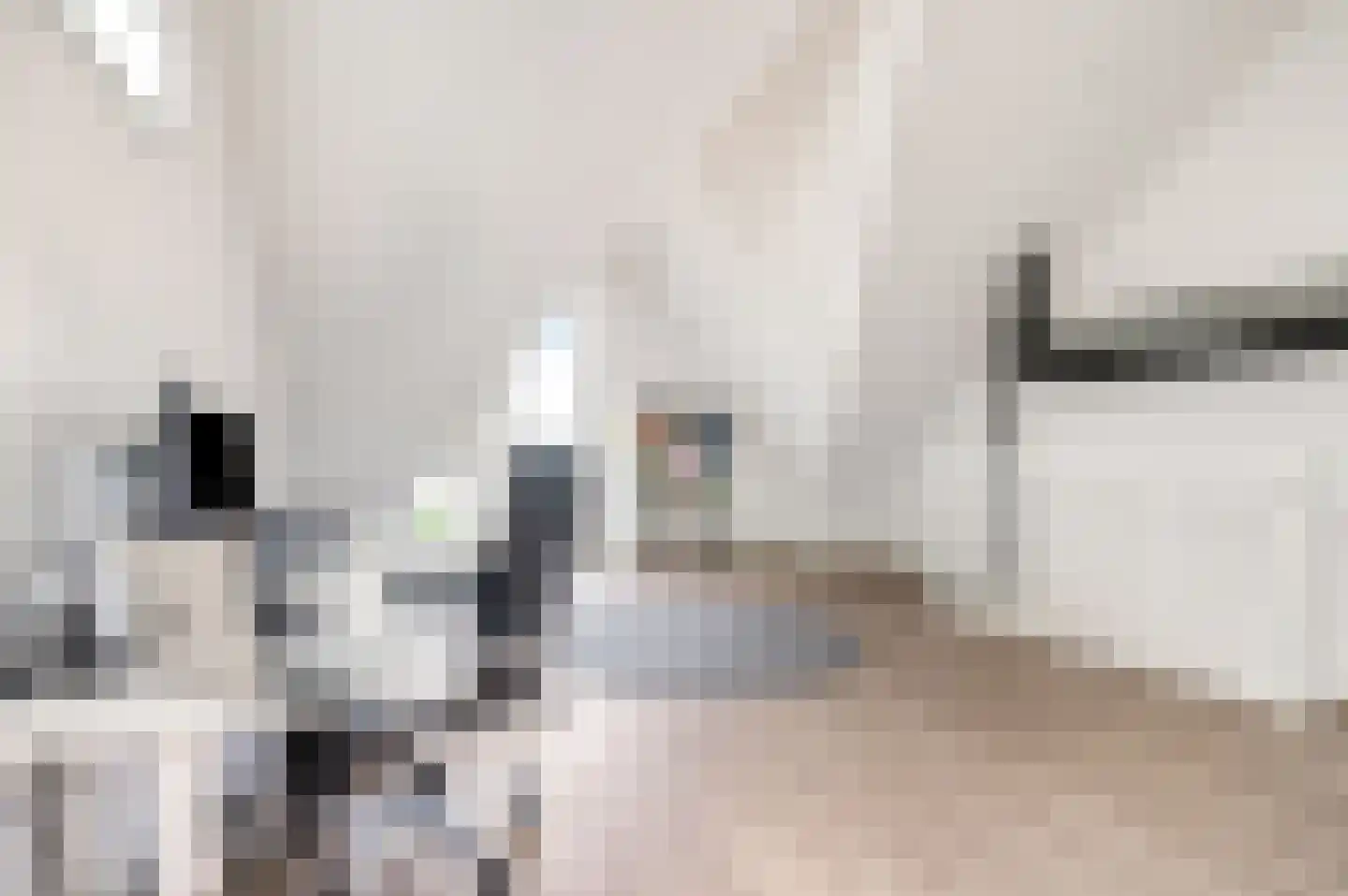Schouwheer 3 Veenendaal thumbnail 27