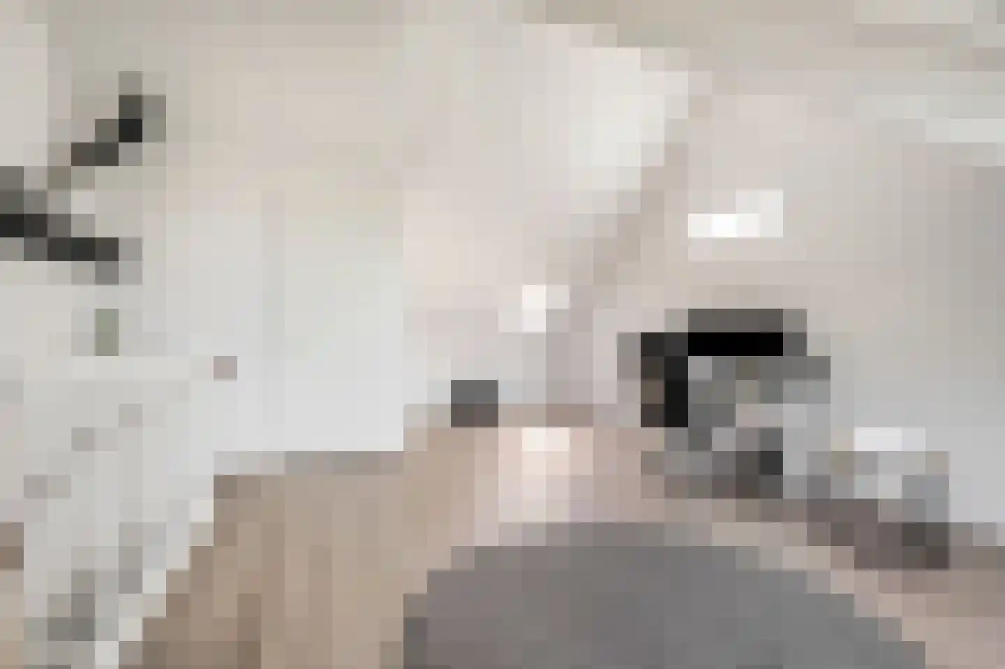 Schouwheer 3 Veenendaal thumbnail 28