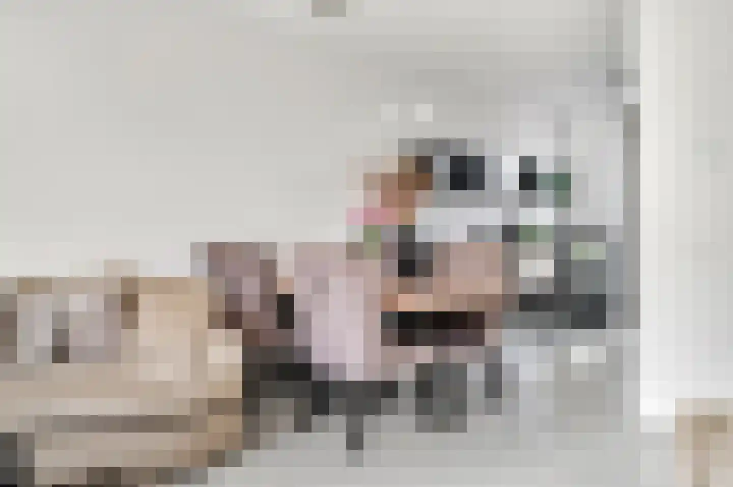 Schouwheer 3 Veenendaal thumbnail 9