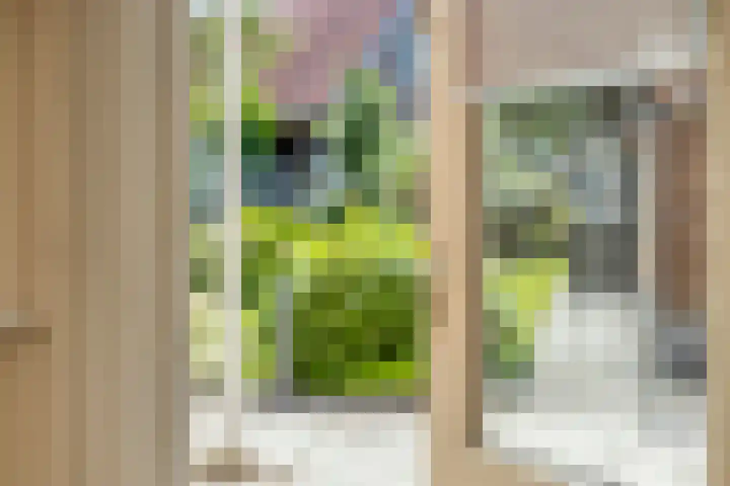 Schouwinksweg 25 Hengelo thumbnail 12