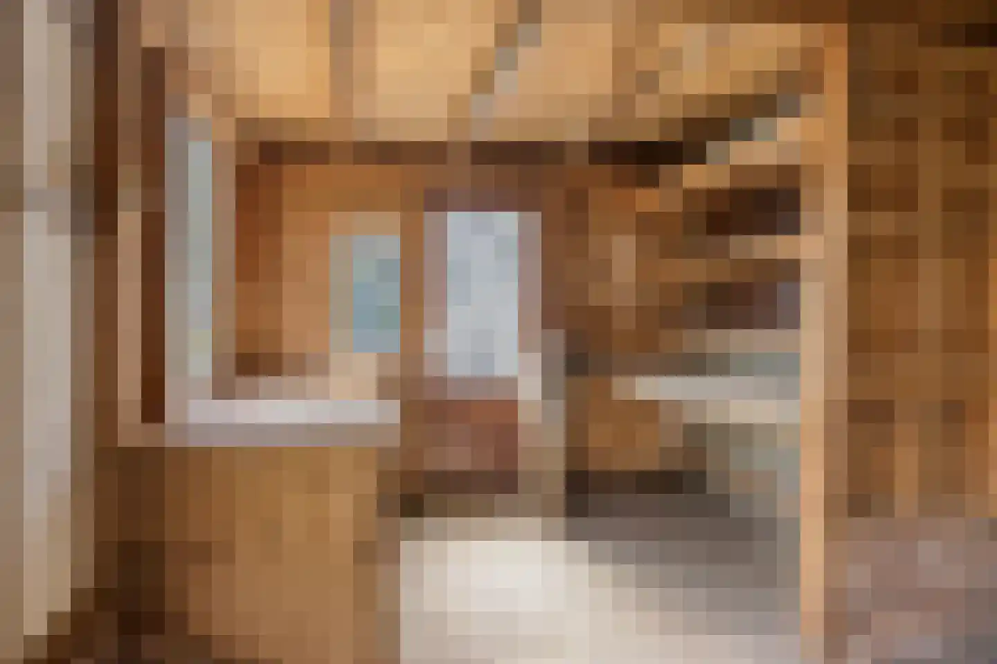 Schouwinksweg 25 Hengelo thumbnail 23