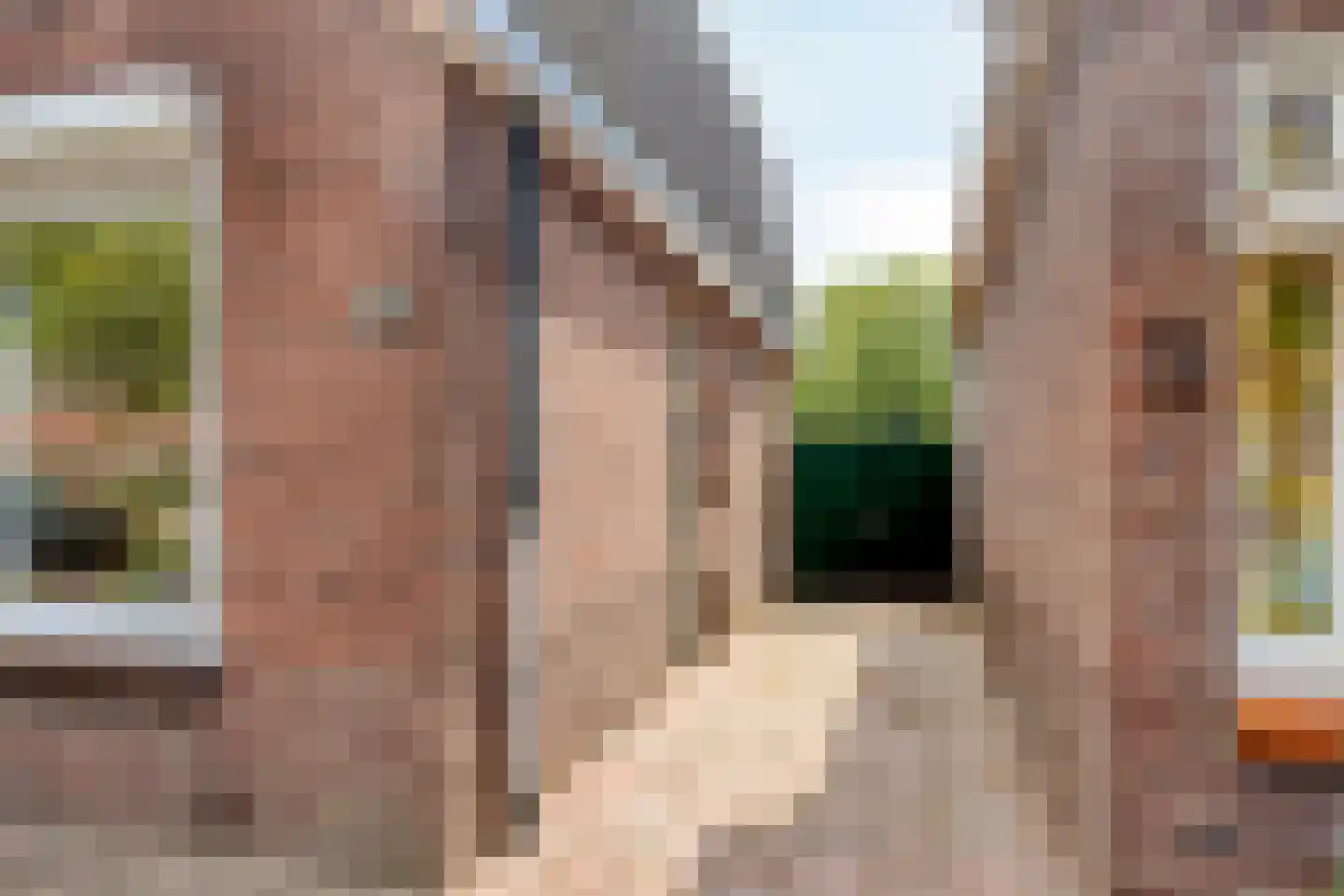 Schouwinksweg 25 Hengelo thumbnail 6