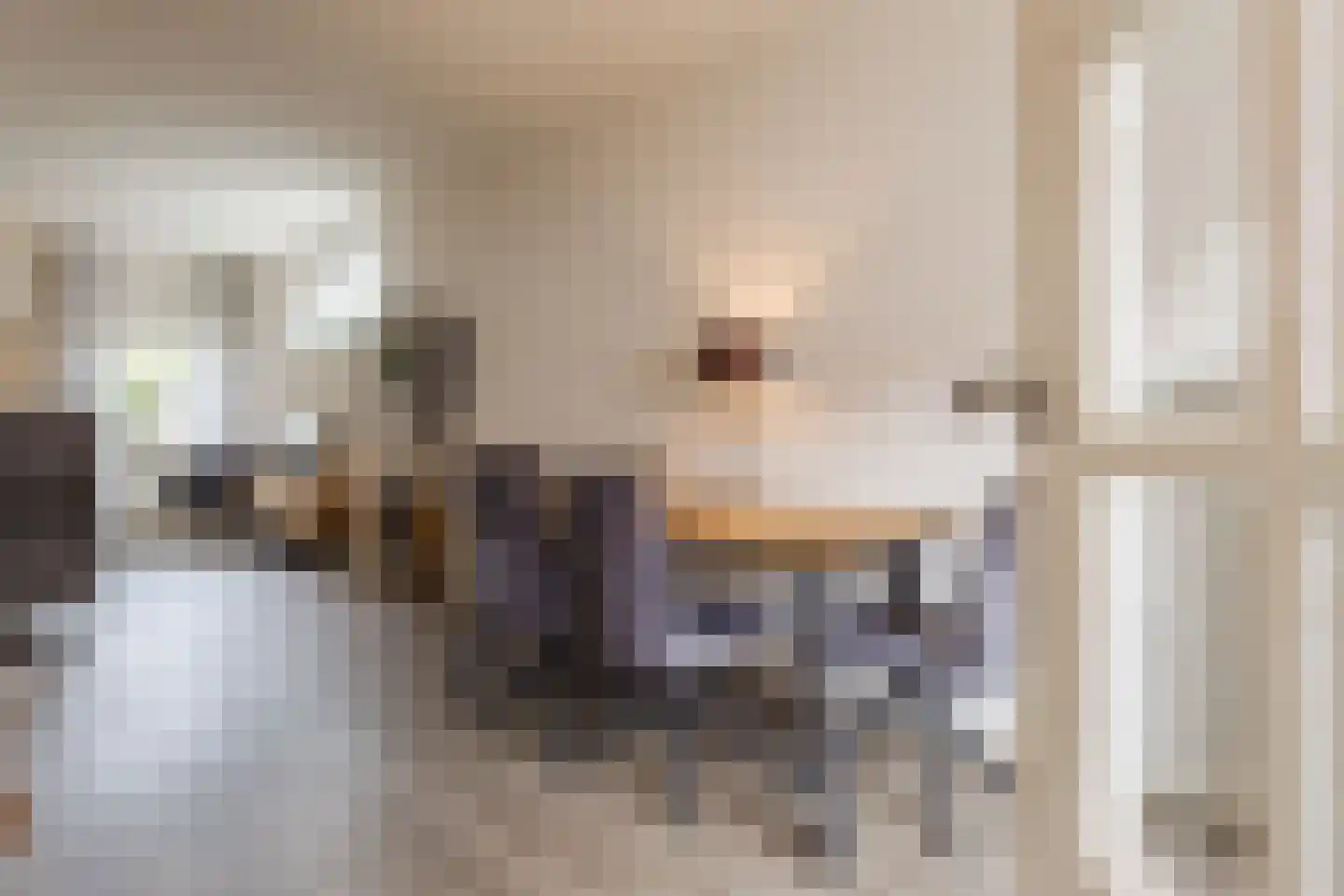 Schouwinksweg 9 Hengelo thumbnail 16
