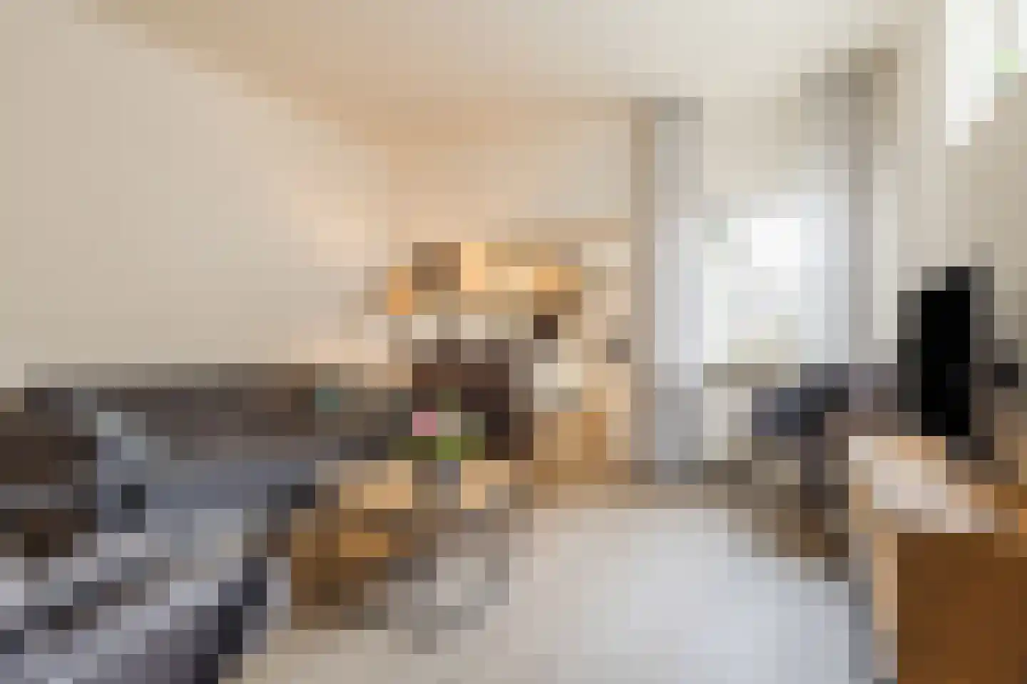 Schouwinksweg 9 Hengelo thumbnail 21