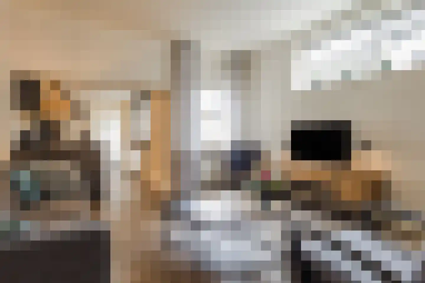 Schouwinksweg 9 Hengelo thumbnail 22