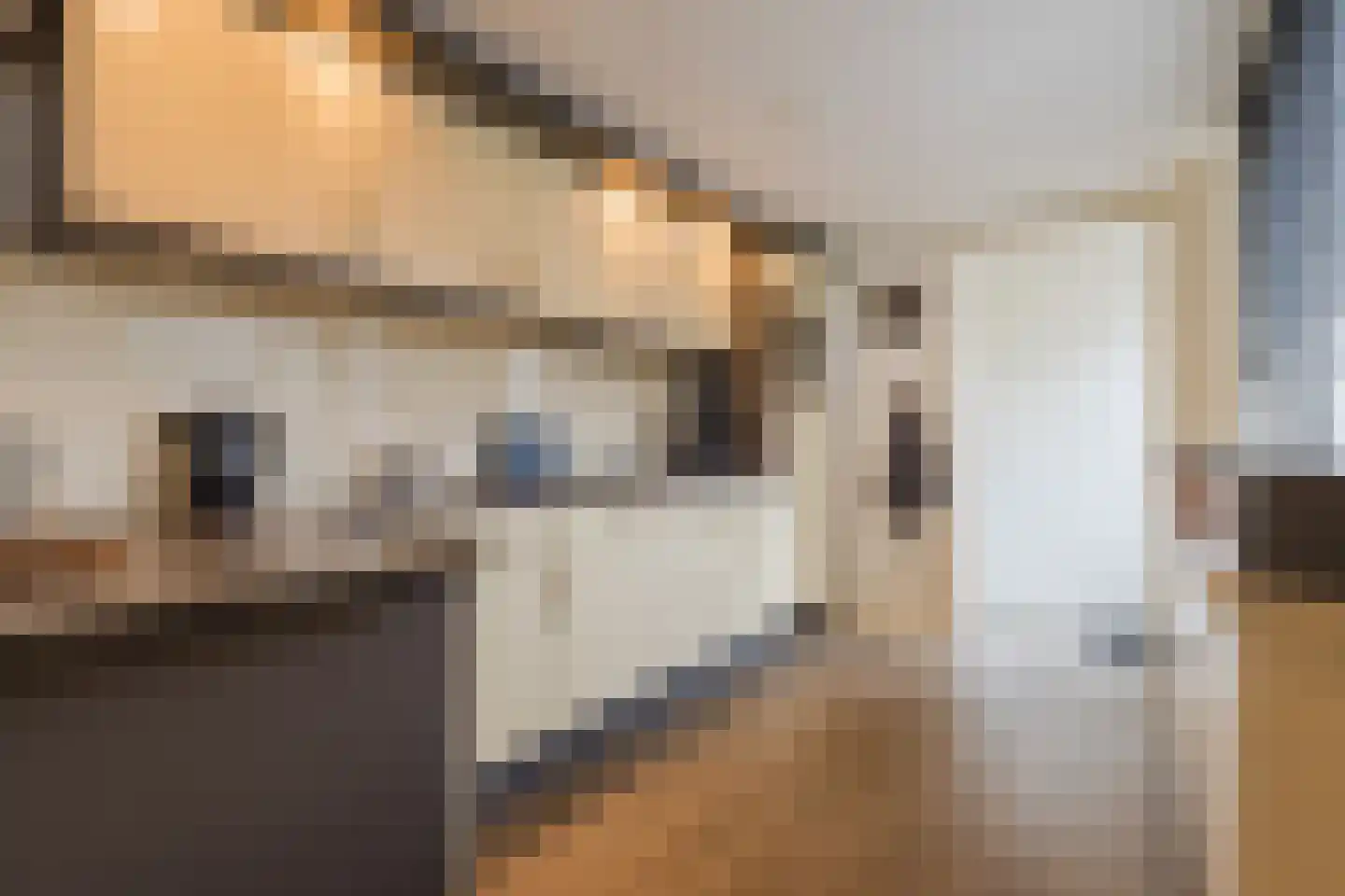 Schouwinksweg 9 Hengelo thumbnail 27