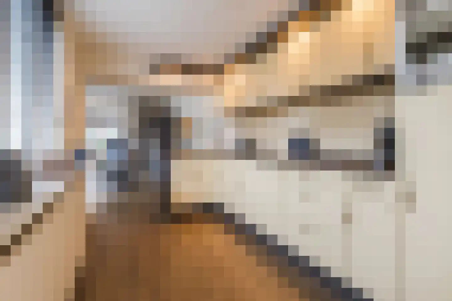 Schouwinksweg 9 Hengelo thumbnail 28