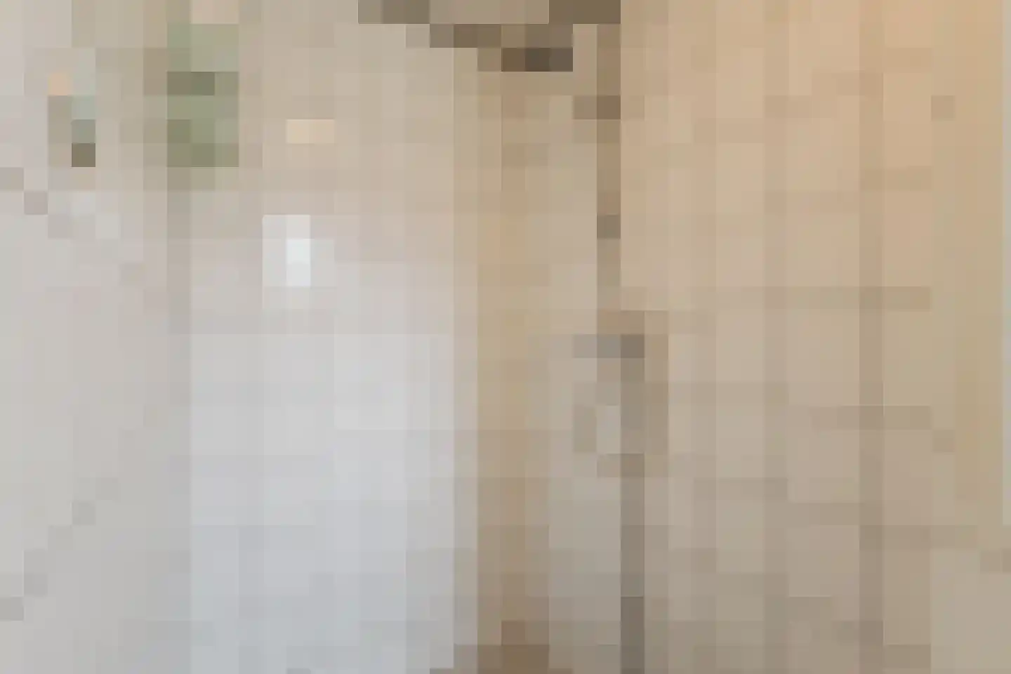 Schouwinksweg 9 Hengelo thumbnail 32