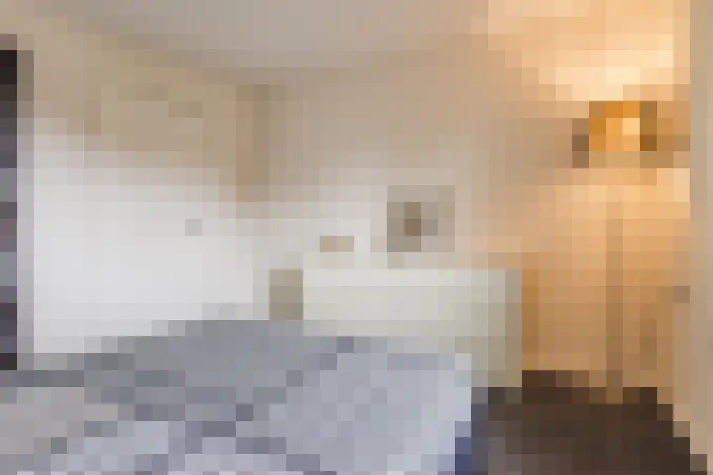 Schouwinksweg 9 Hengelo thumbnail 37