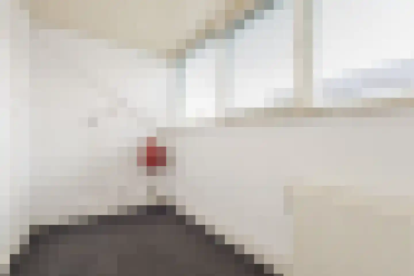 Schouwinksweg 9 Hengelo thumbnail 39