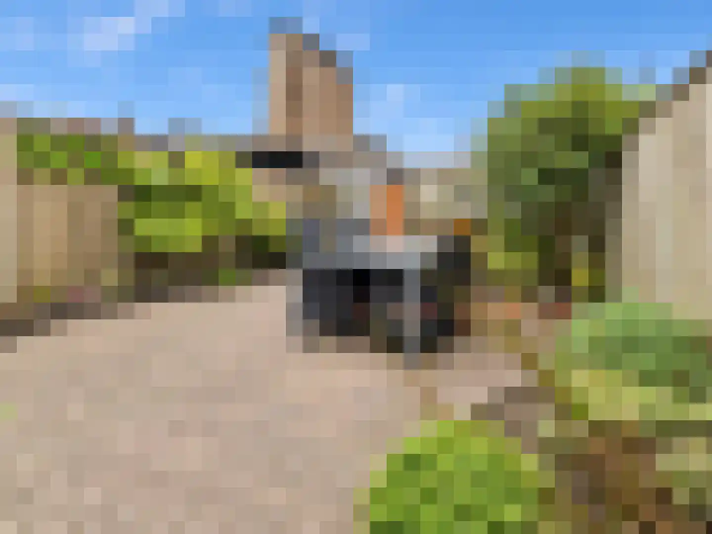 Schouwinksweg 9 Hengelo thumbnail 52