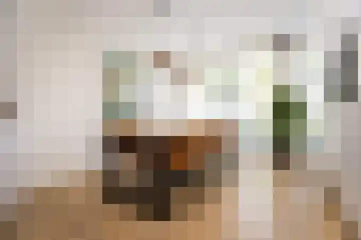 Schouwmeester 2 Zwaag thumbnail 10