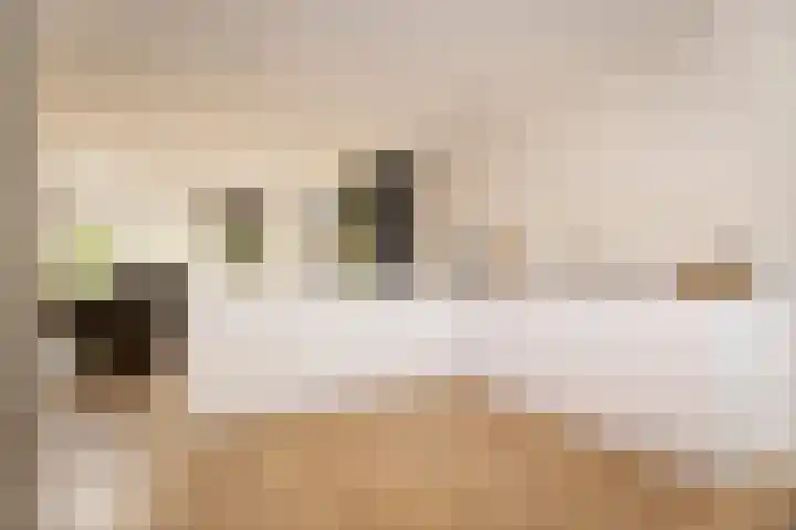 Schouwmeester 2 Zwaag thumbnail 11
