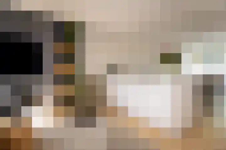 Schouwmeester 2 Zwaag thumbnail 12