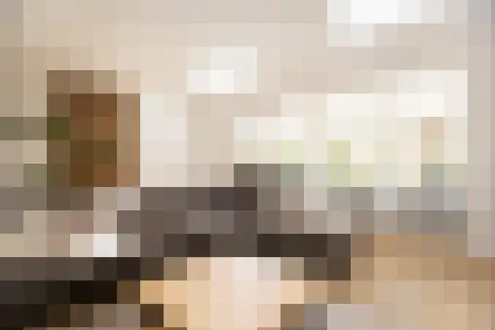 Schouwmeester 2 Zwaag thumbnail 16