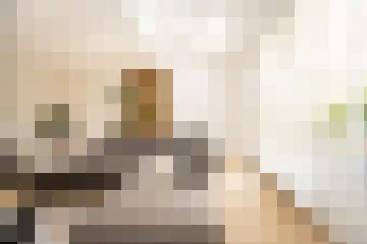 Schouwmeester 2 Zwaag thumbnail 17