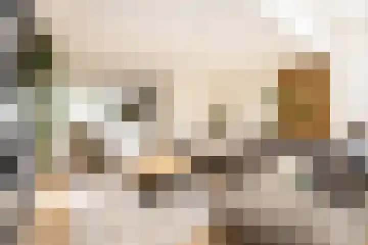 Schouwmeester 2 Zwaag thumbnail 20