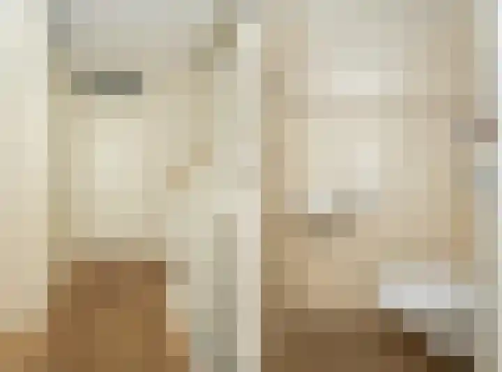 Schouwmeester 2 Zwaag thumbnail 23