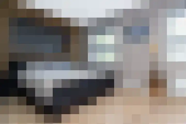 Schouwmeester 2 Zwaag thumbnail 24