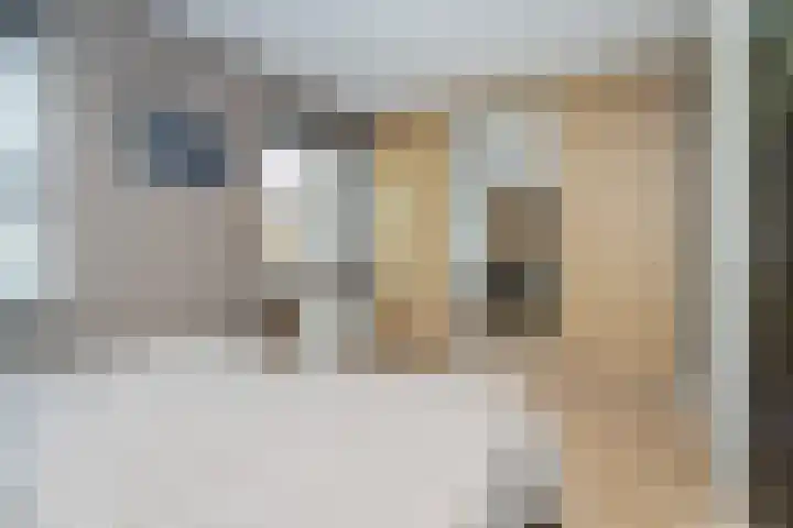 Schouwmeester 2 Zwaag thumbnail 25