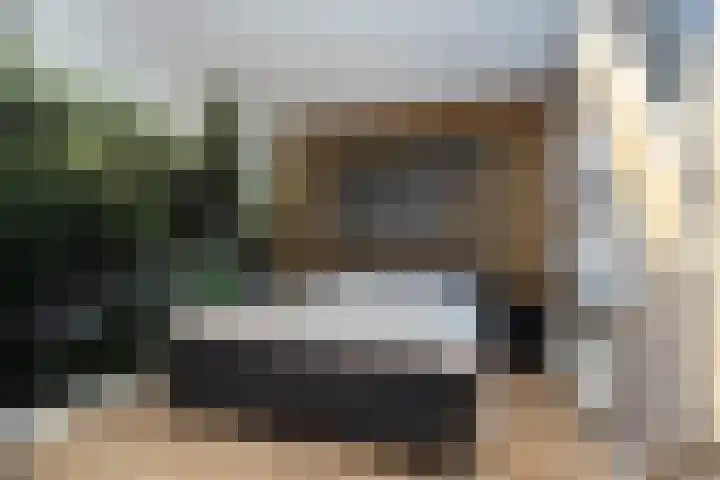 Schouwmeester 2 Zwaag thumbnail 26