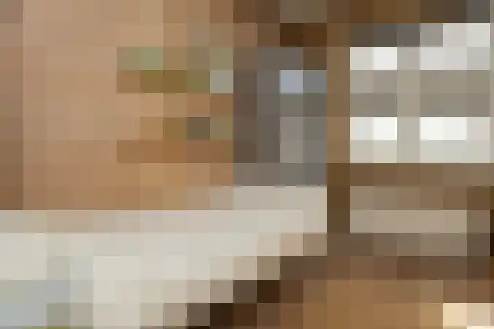 Schouwmeester 2 Zwaag thumbnail 27