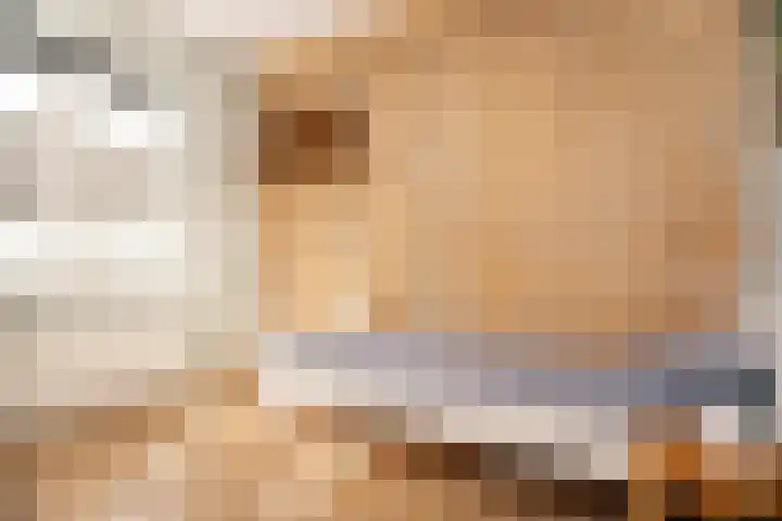 Schouwmeester 2 Zwaag thumbnail 28