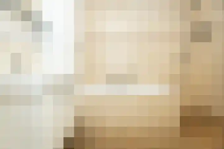 Schouwmeester 2 Zwaag thumbnail 30